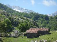 Tag  Wanderung bei den Covadonga-Seen - Ribadeo - Kathedralen-Strand (74)