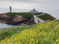 Tag  Wanderung auf dem Jakobsweg von Arzua nach Arca (1)