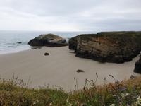 Tag  Wanderung auf dem Jakobsweg von Arzua nach Arca (2)