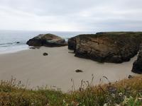 Tag  Wanderung auf dem Jakobsweg von Arzua nach Arca (4)