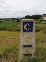 Tag  Wanderung auf dem Jakobsweg von Arzua nach Arca (33)