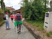 Tag  Wanderung auf dem Jakobsweg von Arzua nach Arca (34)