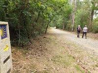 Tag  Wanderung auf dem Jakobsweg von Arzua nach Arca (38)