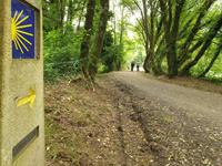 Tag  Wanderung auf dem Jakobsweg von Arzua nach Arca (39)