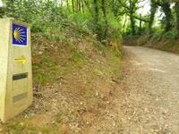 Tag  Wanderung auf dem Jakobsweg von Arzua nach Arca (40)