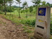 Tag  Wanderung auf dem Jakobsweg von Arzua nach Arca (41)