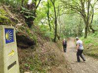 Tag  Wanderung auf dem Jakobsweg von Arzua nach Arca (42)