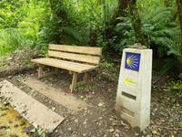 Tag  Wanderung auf dem Jakobsweg von Arzua nach Arca (43)