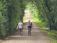 Tag  Wanderung auf dem Jakobsweg von Arzua nach Arca (44)