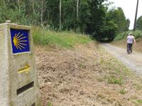 Tag  Wanderung auf dem Jakobsweg von Arzua nach Arca (45)