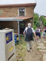 Tag  Wanderung auf dem Jakobsweg von Arzua nach Arca (46)