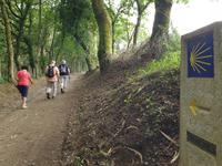 Tag  Wanderung auf dem Jakobsweg von Arzua nach Arca (49)