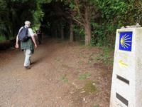 Tag  Wanderung auf dem Jakobsweg von Arzua nach Arca (50)