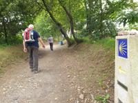 Tag  Wanderung auf dem Jakobsweg von Arzua nach Arca (51)