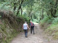 Tag  Wanderung auf dem Jakobsweg von Arzua nach Arca (54)