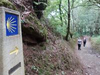 Tag  Wanderung auf dem Jakobsweg von Arzua nach Arca (55)
