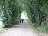 Tag  Wanderung auf dem Jakobsweg von Arzua nach Arca (57)