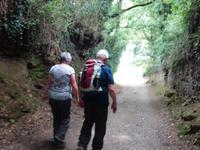 Tag  Wanderung auf dem Jakobsweg von Arzua nach Arca (58)