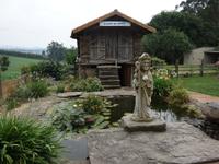 Tag  Wanderung auf dem Jakobsweg von Arzua nach Arca (59)