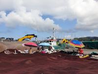 Tag  Freizeit oder fakultativer Ausflug mit Wanderung auf der Insel Ons im Nationalpark Illas Atlantica (2)