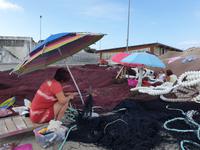 Tag  Freizeit oder fakultativer Ausflug mit Wanderung auf der Insel Ons im Nationalpark Illas Atlantica (4)