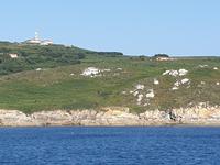 Tag  Freizeit oder fakultativer Ausflug mit Wanderung auf der Insel Ons im Nationalpark Illas Atlantica (8)