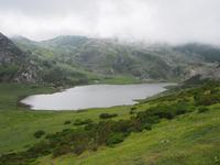 Lagos de Covadonga