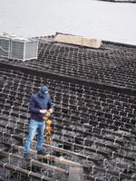 O Grove Muschelzucht