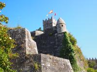 Festung in Baiona