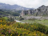 Lagos de Covadonga