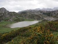 Lagos de Covadonga