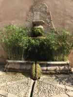 0009 Gärten von Alfabia