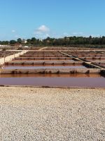 0062 Salines d`Es Trenc