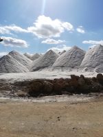 0063 Salines dÈs Trenc