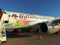 0064 Heimflug - farbenforher Flieger von Sundair