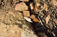 Wanderreise Menorca - Wanderung 1 - Cap de Cavalleria