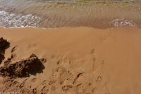 Wanderreise Menorca - Wanderung 1 - Cala Mica