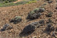 Wanderreise Menorca - Wanderung 1 - Cala Mica