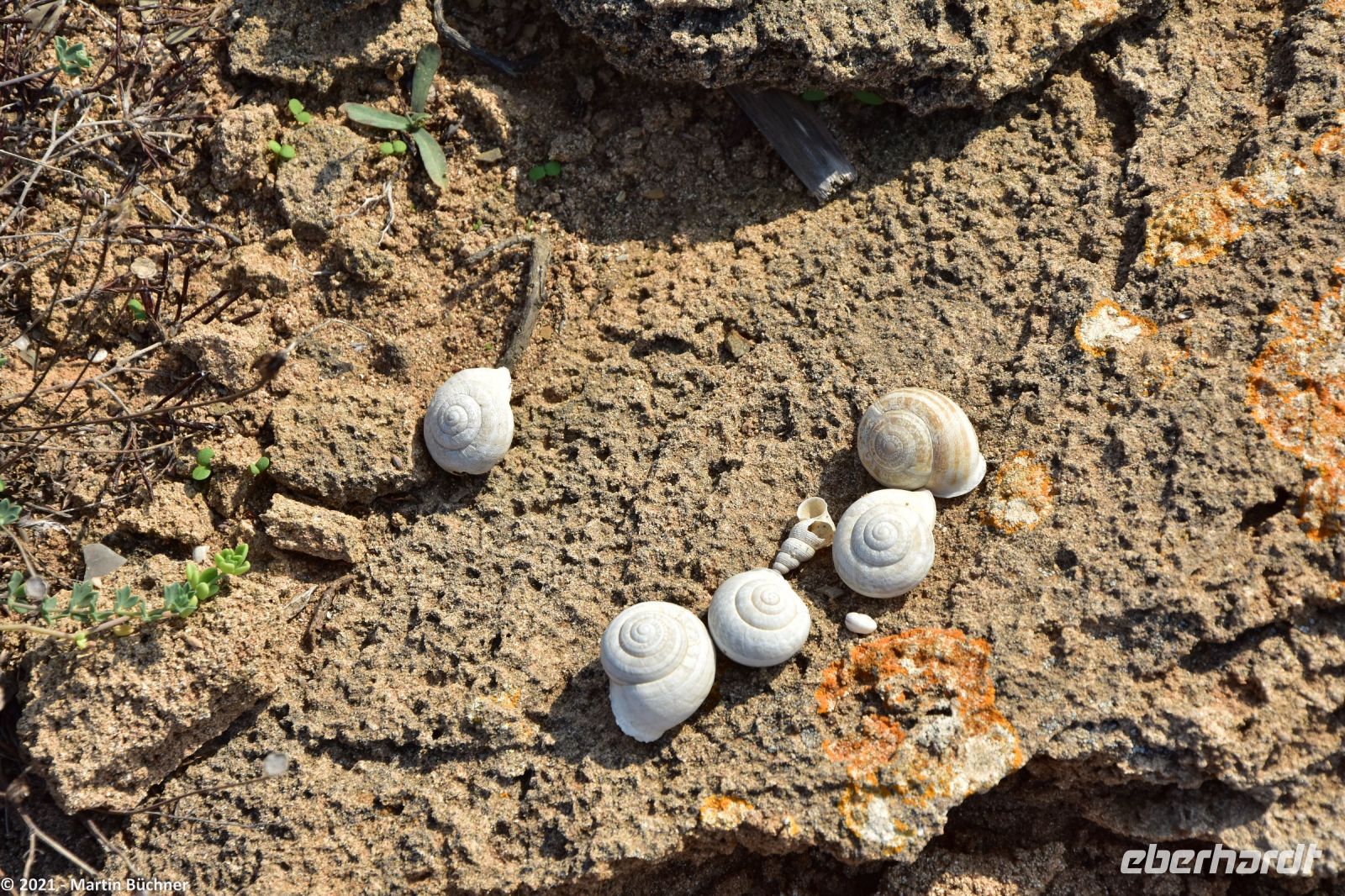 Wanderreise Menorca - Wanderung 1 - Binimel