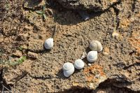 Wanderreise Menorca - Wanderung 1 - Binimel