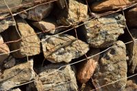 Wanderreise Menorca - Wanderung 1 - Eine Echse