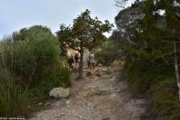 Wanderreise Menorca - Wanderung 2 - Son Bou