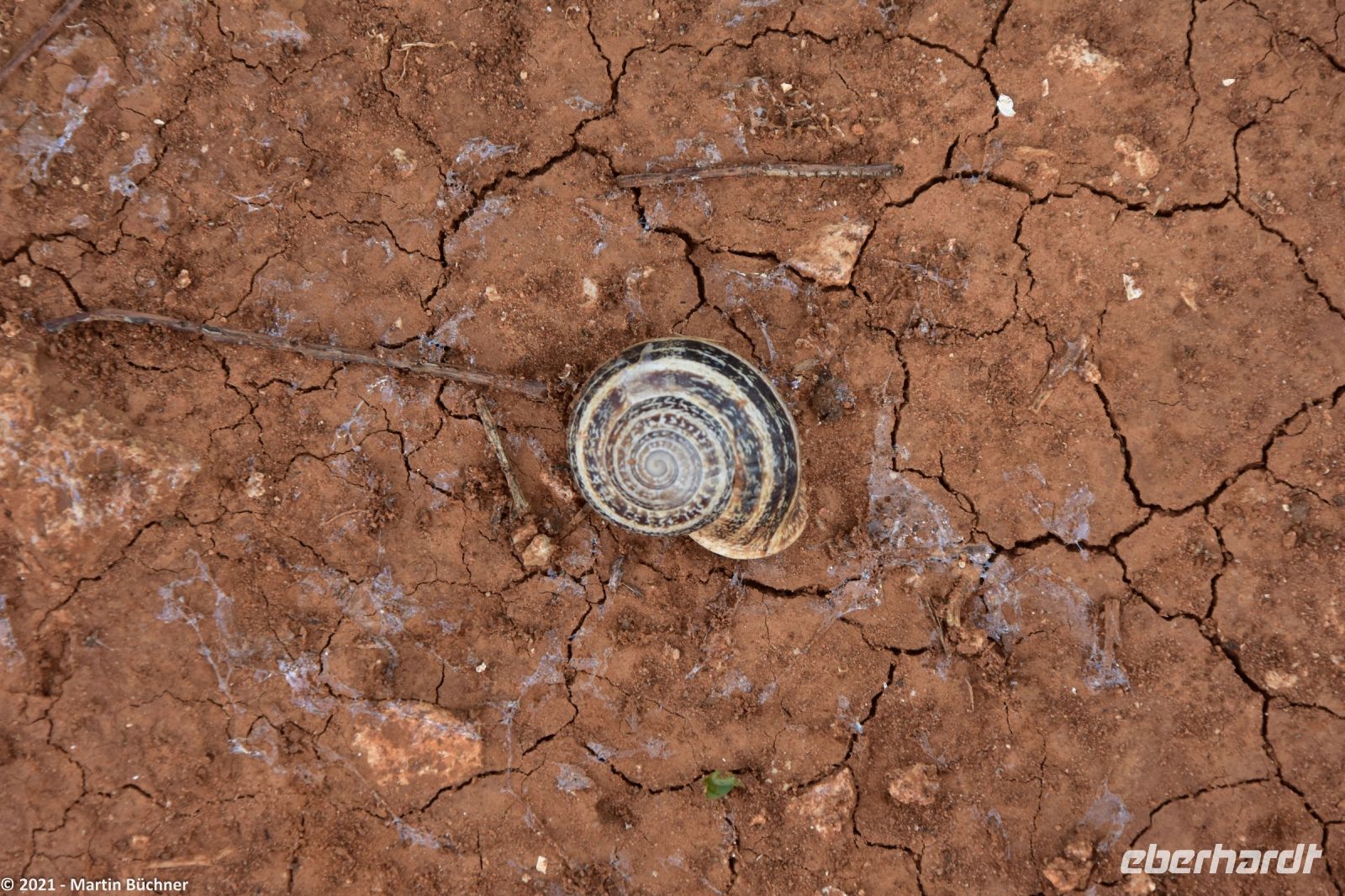 Wanderreise Menorca - Wanderung 2 - Platja de Cala Llucalari (Schlucht)
