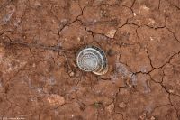 Wanderreise Menorca - Wanderung 2 - Platja de Cala Llucalari (Schlucht)