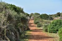 Wanderreise Menorca - Wanderung 2 - Kulturlandschaft Menorca