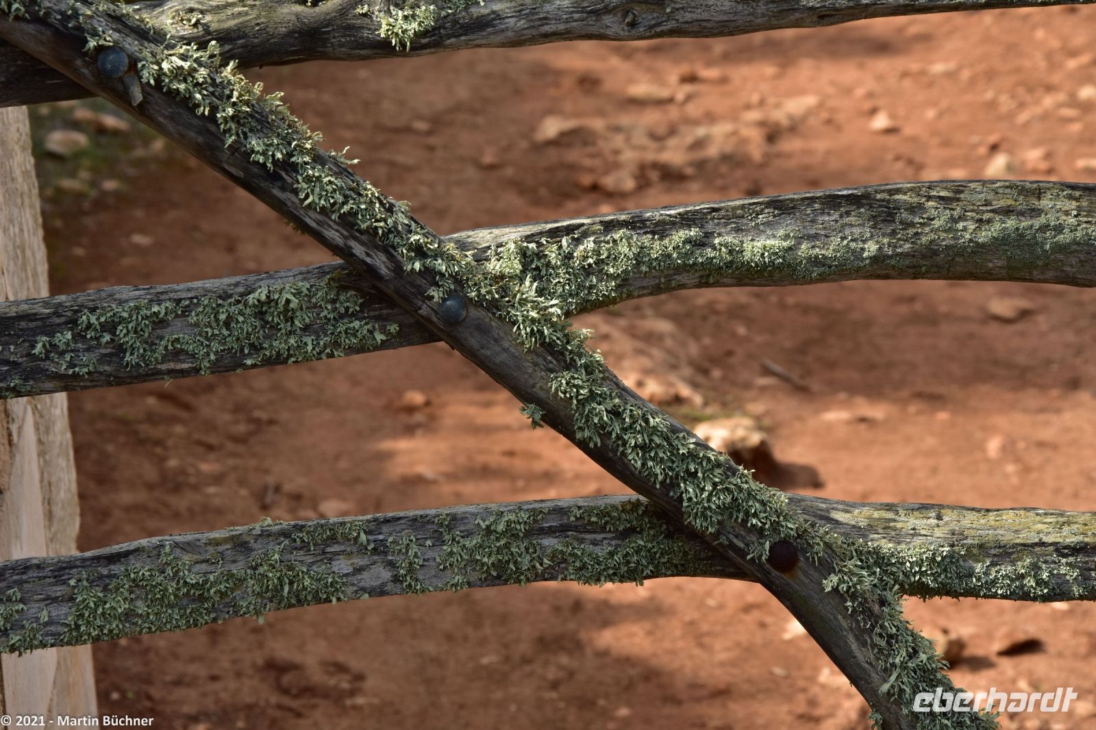Wanderreise Menorca - Wanderung 2 - Kulturlandschaft Menorca