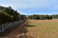 Wanderreise Menorca - Wanderung 2 - Kulturlandschaft Menorca