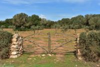 Wanderreise Menorca - Wanderung 2 - Kulturlandschaft Menorca