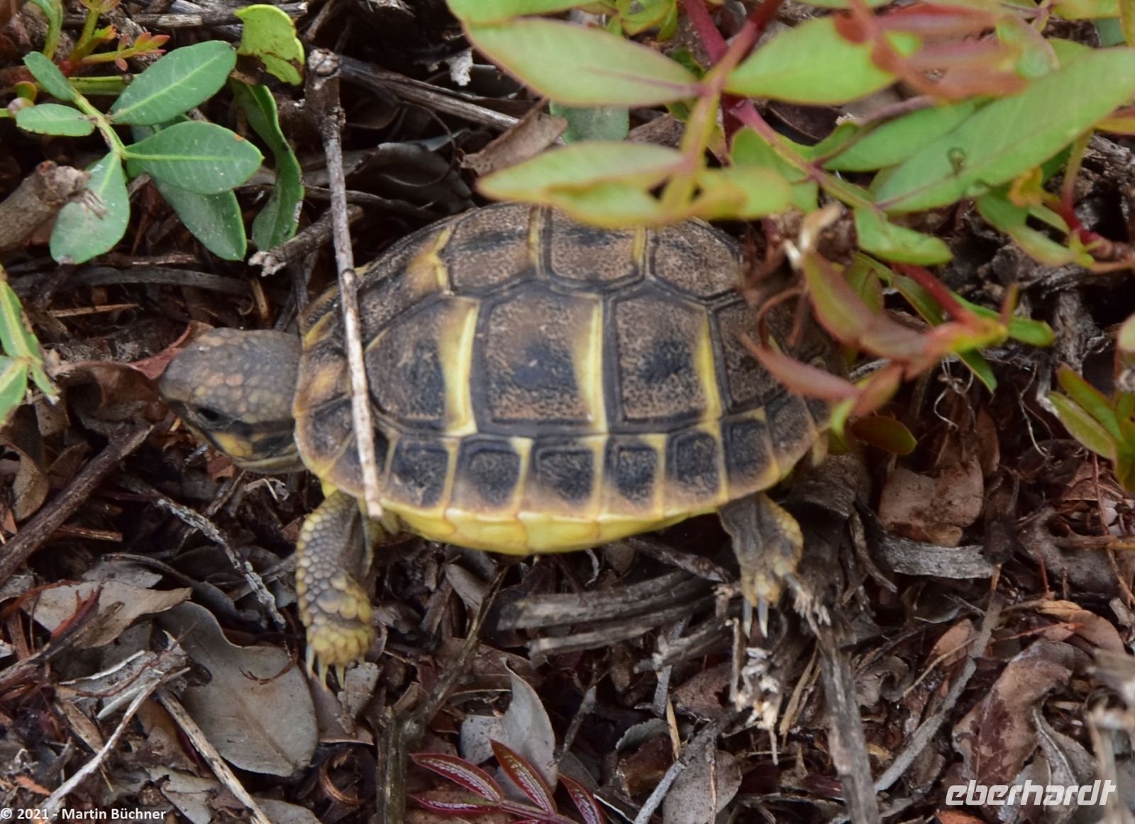 Wanderreise Menorca - Wanderung 2 - Kulturlandschaft Menorca 