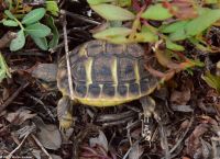 Wanderreise Menorca - Wanderung 2 - Kulturlandschaft Menorca 